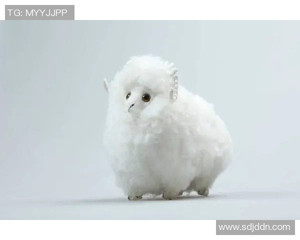 属猴的足球球星有哪些 盘点那些年为足球历史做出巨大贡献的猴年出生球员